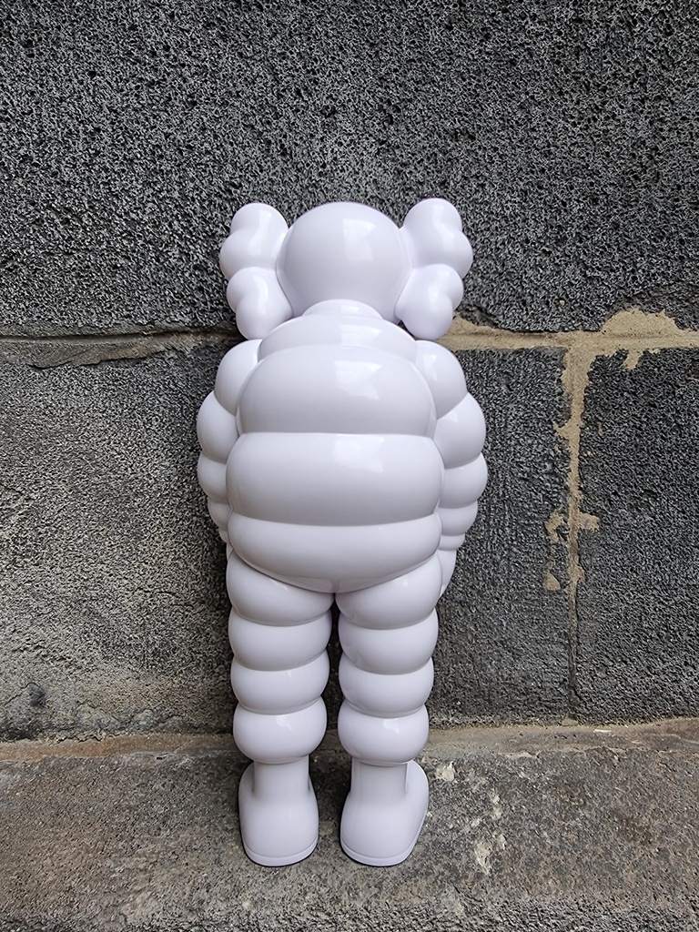 Kaws What Party (White edition)