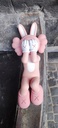 Kaws Holidays Indonesia (Pink edition)