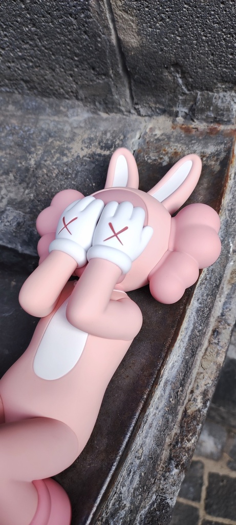 Kaws Holidays Indonesia (Pink edition)