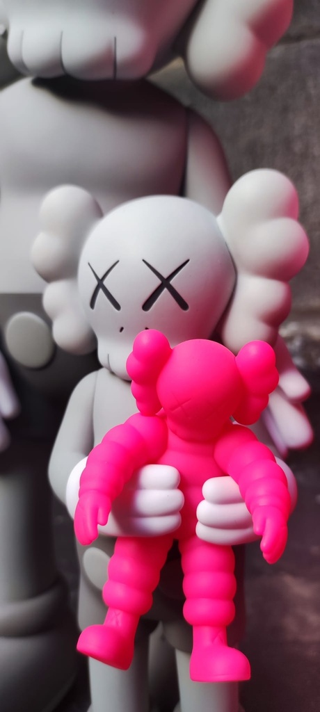 Kaws Family (Pink edition)