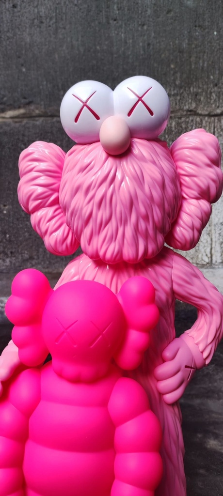 Kaws Family (Pink edition)