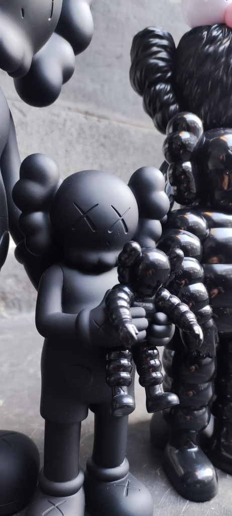 Kaws Family (Black edition)