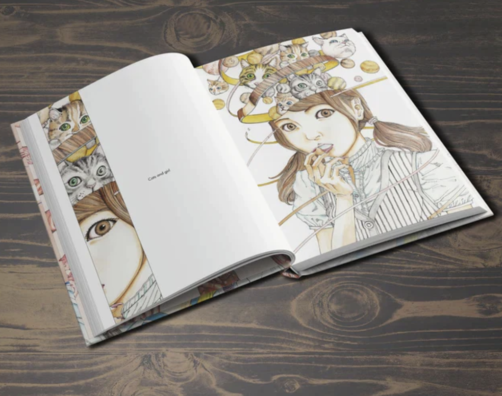 Shintaro Kago : Artbooks Box Set