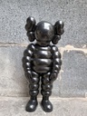 Kaws What Party (Black edition)