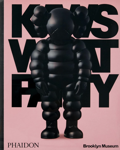 [Kaws] Kaws What Party