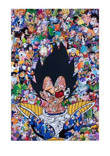 [Mr Garcin] Vegeta